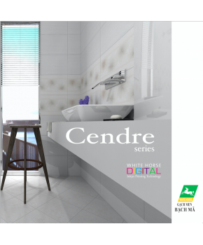 Cendre Series