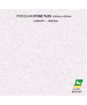 Glazed Porcelain 45CM X 45 CM
