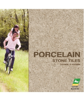 PORCELAIN STONE 30CM X 60CM