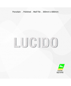 PORCELAIN STONE tile - LUCIDO series