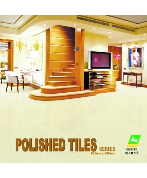 POLISHED PORCELAIN 80CM X 80CM